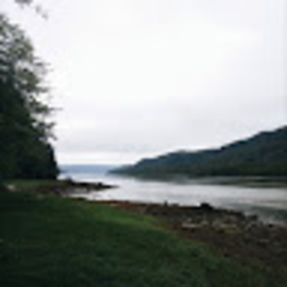 Meet your Posher, Madeleine - Picture 1 of 1